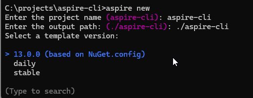 Choose a name, folder, and version for your project