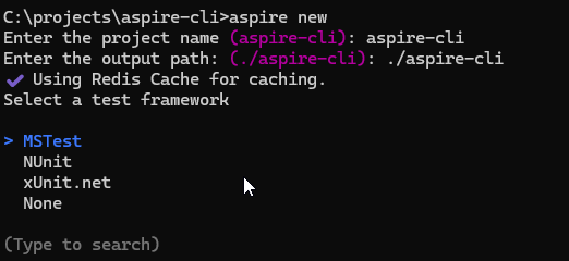 Select what type of test project